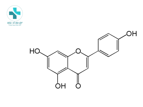 Vì sao Polyphenols là chất chống nắng hiệu quả? 1